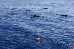 Notre zone d'activité pour ce service Association bénévolat aide aux enfants malades